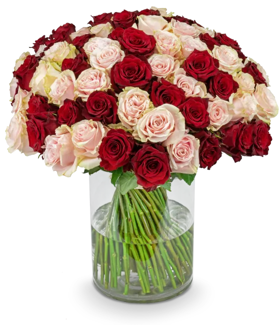 Bouquet of pink and red roses